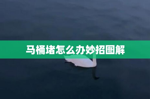马桶堵怎么办妙招图解