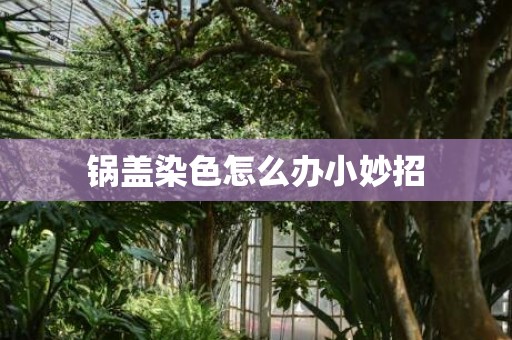锅盖染色怎么办小妙招