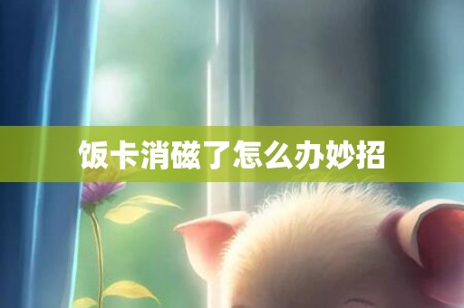 饭卡消磁了怎么办妙招