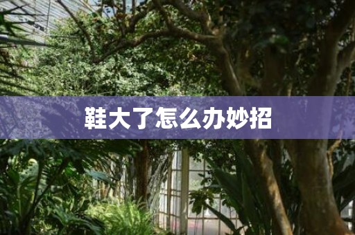鞋大了怎么办妙招