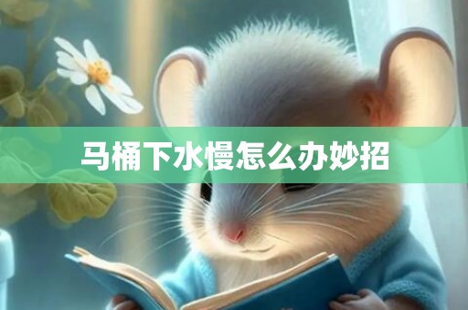 马桶下水慢怎么办妙招