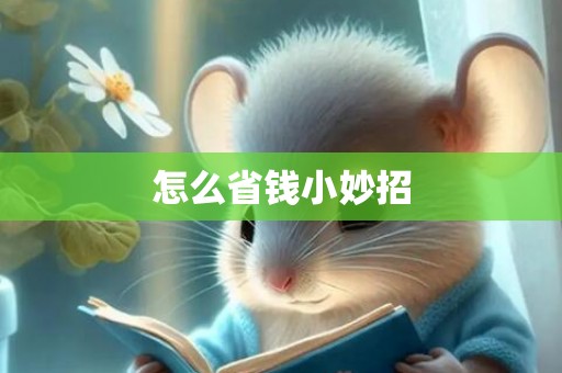 怎么省钱小妙招