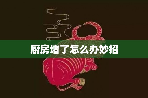 厨房堵了怎么办妙招