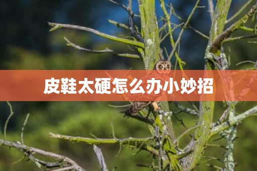 皮鞋太硬怎么办小妙招