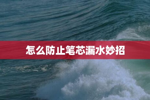 怎么防止笔芯漏水妙招
