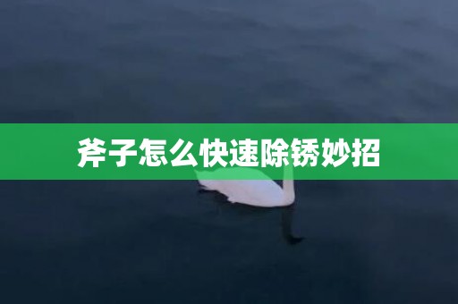 斧子怎么快速除锈妙招