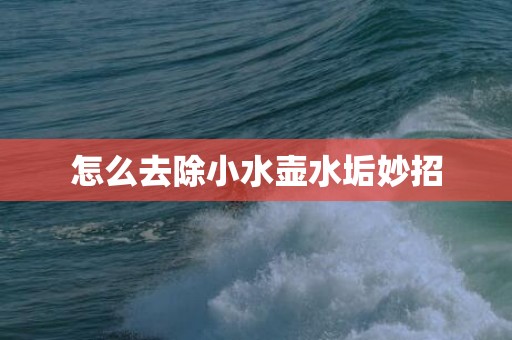 怎么去除小水壶水垢妙招