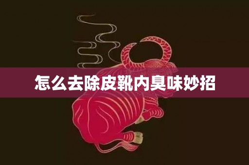 怎么去除皮靴内臭味妙招