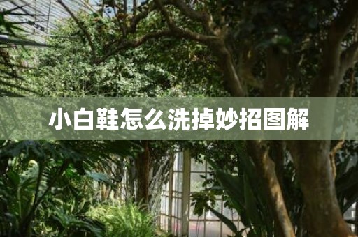 小白鞋怎么洗掉妙招图解