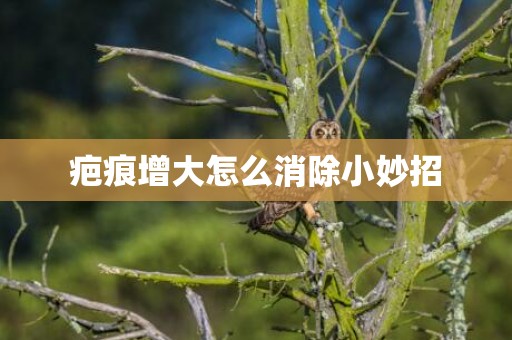 疤痕增大怎么消除小妙招
