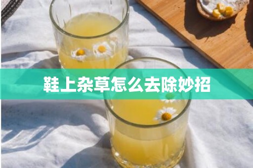 鞋上杂草怎么去除妙招