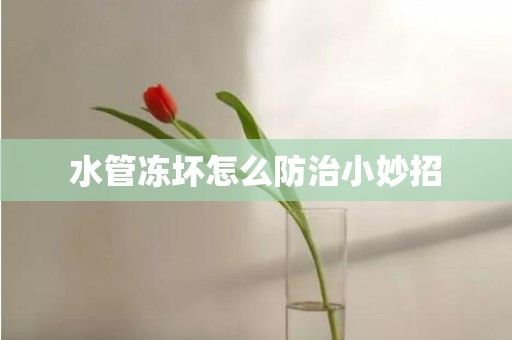 水管冻坏怎么防治小妙招