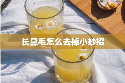 长鼻毛怎么去掉小妙招