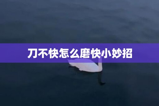 刀不快怎么磨快小妙招