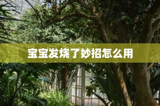 宝宝发烧了妙招怎么用