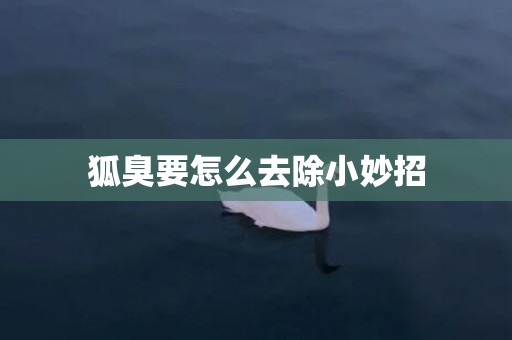 狐臭要怎么去除小妙招