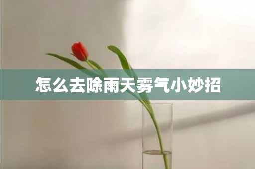 怎么去除雨天雾气小妙招