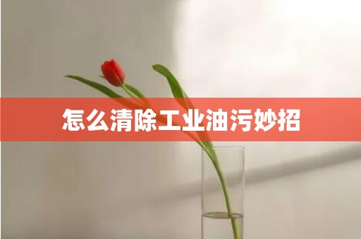 怎么清除工业油污妙招