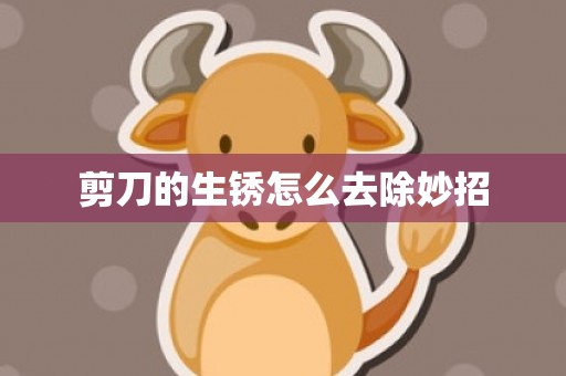 剪刀的生锈怎么去除妙招