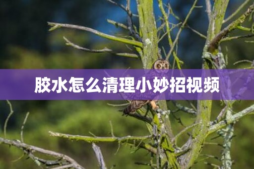胶水怎么清理小妙招视频