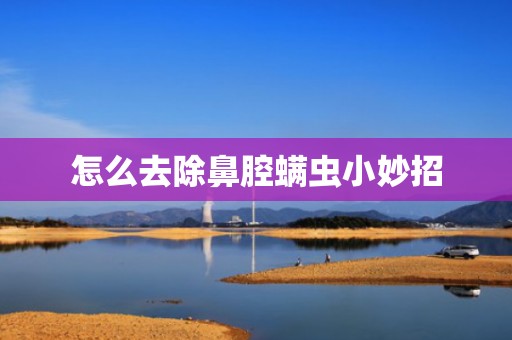 怎么去除鼻腔螨虫小妙招