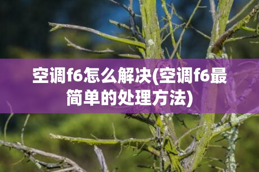 空调f6怎么解决(空调f6最简单的处理方法)