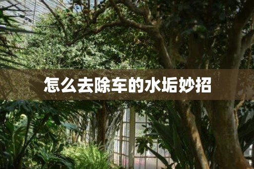 怎么去除车的水垢妙招