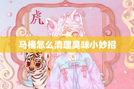 马桶怎么清理臭味小妙招