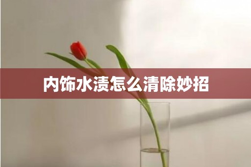 内饰水渍怎么清除妙招
