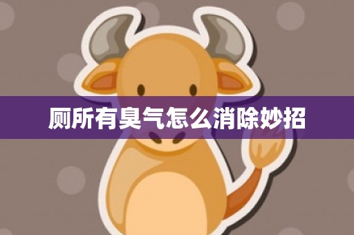 厕所有臭气怎么消除妙招