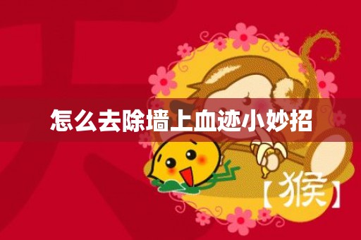 怎么去除墙上血迹小妙招