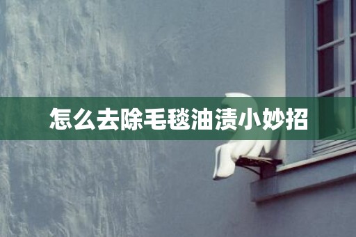 怎么去除毛毯油渍小妙招