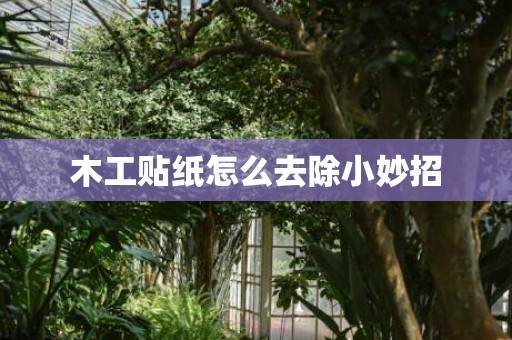 木工贴纸怎么去除小妙招