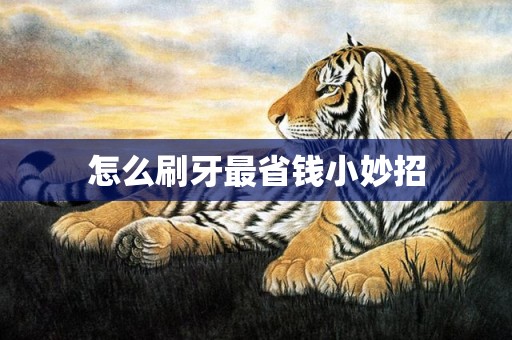 怎么刷牙最省钱小妙招