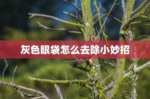 灰色眼袋怎么去除小妙招