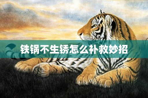 铁锅不生锈怎么补救妙招