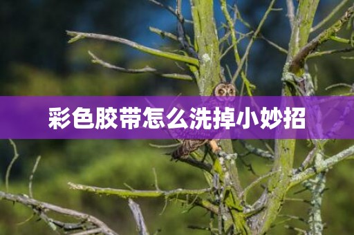 彩色胶带怎么洗掉小妙招