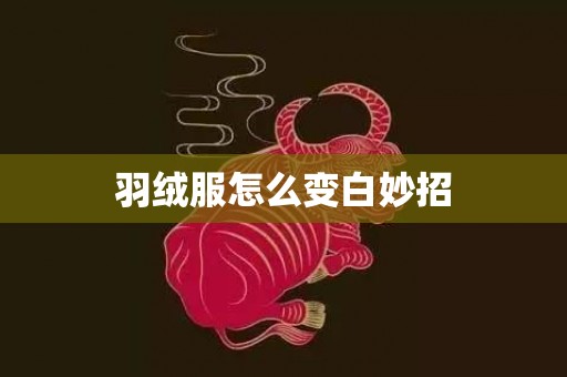羽绒服怎么变白妙招