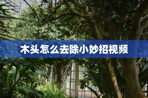 木头怎么去除小妙招视频