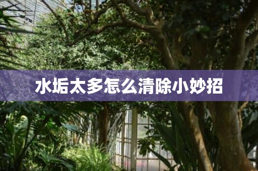 水垢太多怎么清除小妙招