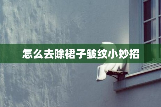 怎么去除裙子皱纹小妙招