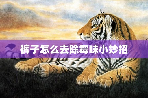 裤子怎么去除霉味小妙招