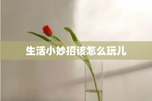 生活小妙招该怎么玩儿