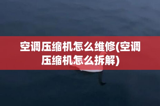 空调压缩机怎么维修(空调压缩机怎么拆解)