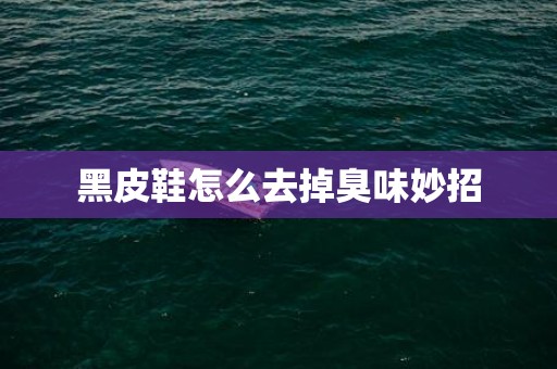 黑皮鞋怎么去掉臭味妙招