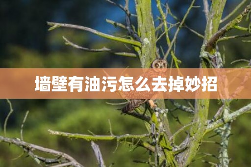 墙壁有油污怎么去掉妙招