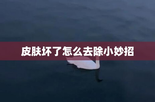 皮肤坏了怎么去除小妙招