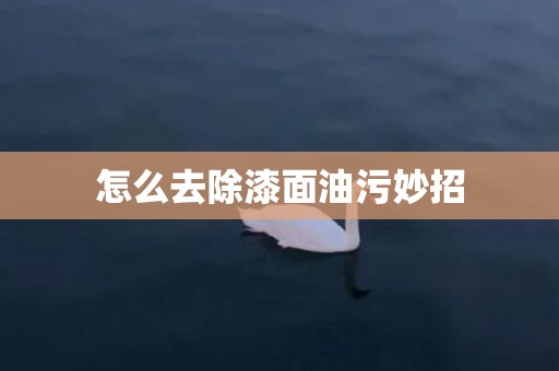 怎么去除漆面油污妙招