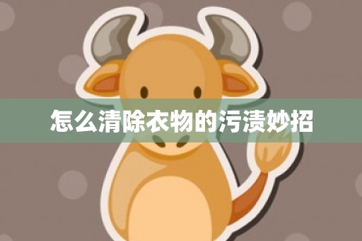 怎么清除衣物的污渍妙招
