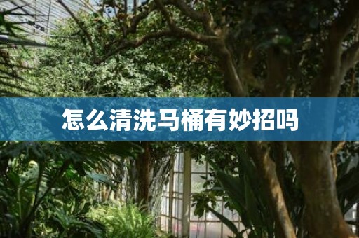 怎么清洗马桶有妙招吗